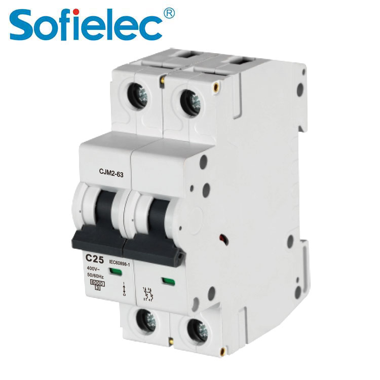 Miniature Circuit Breaker (MCB) CJM2-63-2