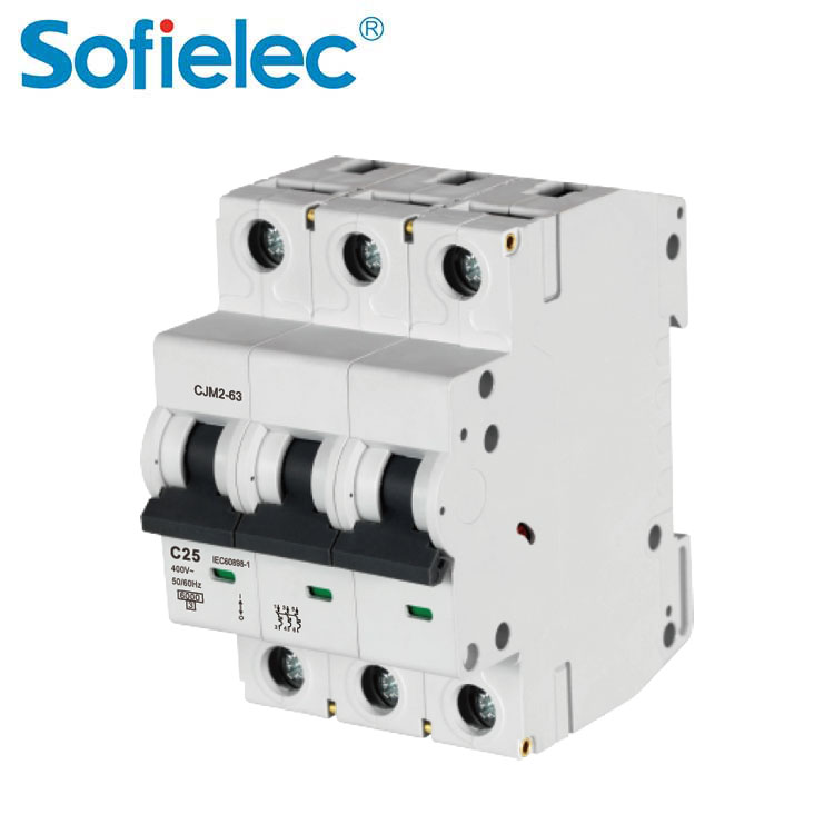 Miniature Circuit Breaker (MCB) CJM2-63-2