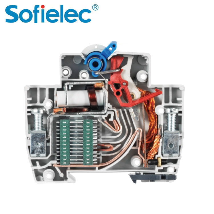 Miniature Circuit Breaker (MCB) CJM2-63-2